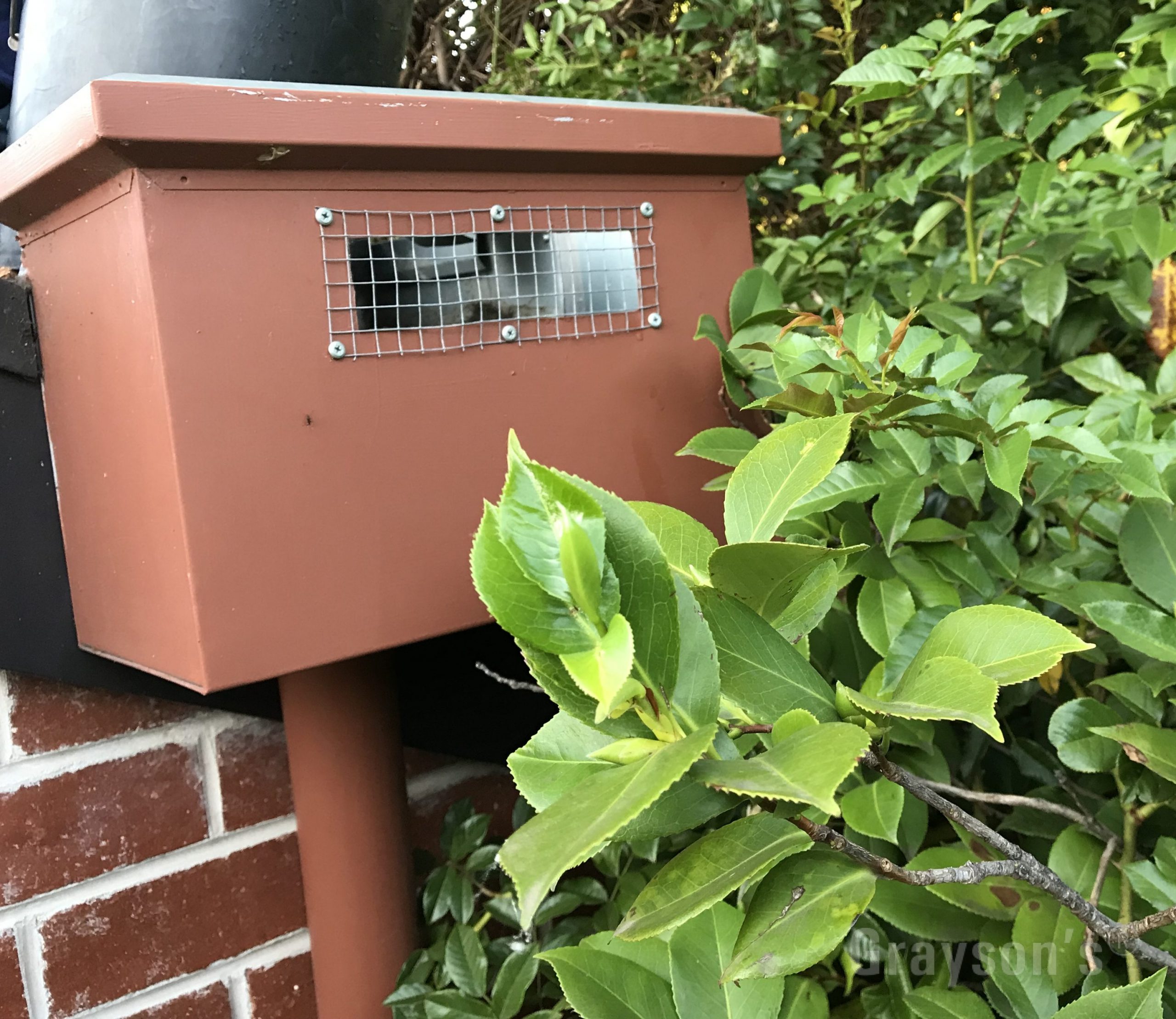 A bird proofing barrier, a piece of metal wire mesh installed on to the rainhead overflow hole to stop birds flying inside. Gutter leaf protection meshes should ideally have smaller holes but this application is quite different.
