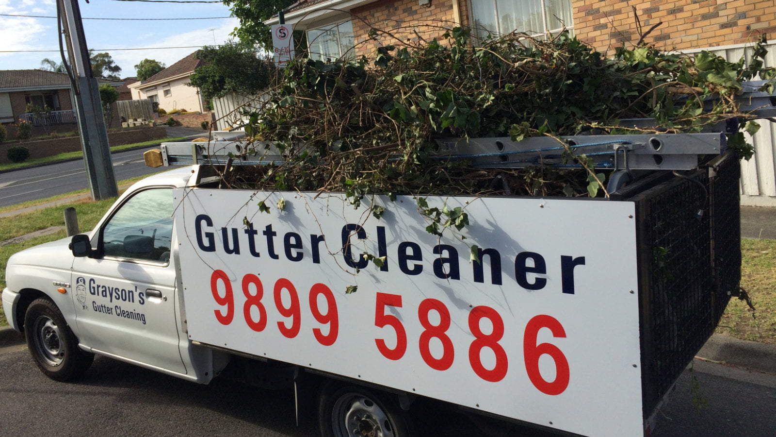 Gutter Cleaning and Tree Pruning
