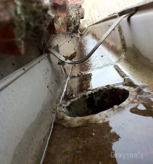 Inside an old quad gutter that's been cleared and flushed