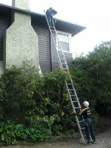 Gutter Cleaning Ivanhoe East