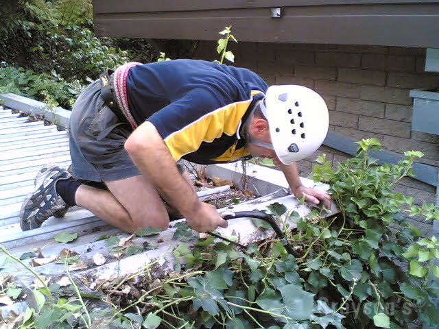 Cutting a vine away from the edge of a flat roof.