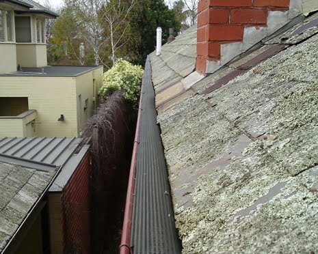 Gutter Guard installed on a slate roof