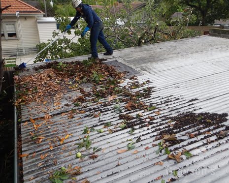 roof gutter clearing Melbourne