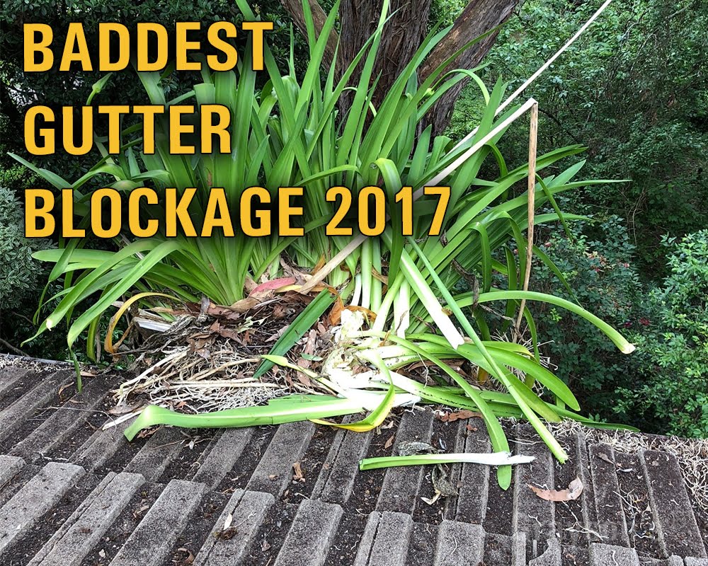 Worst gutter blockage of 2017 found by Grayson's Gutter Cleaning