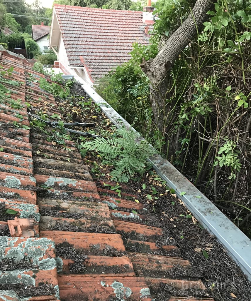 Cleaning out an overgrown gutter