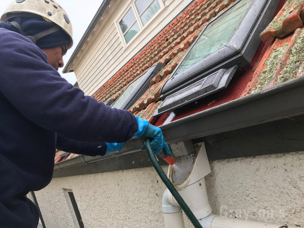 Cleaning out a leaf diverter that's joined to a roof guttering system