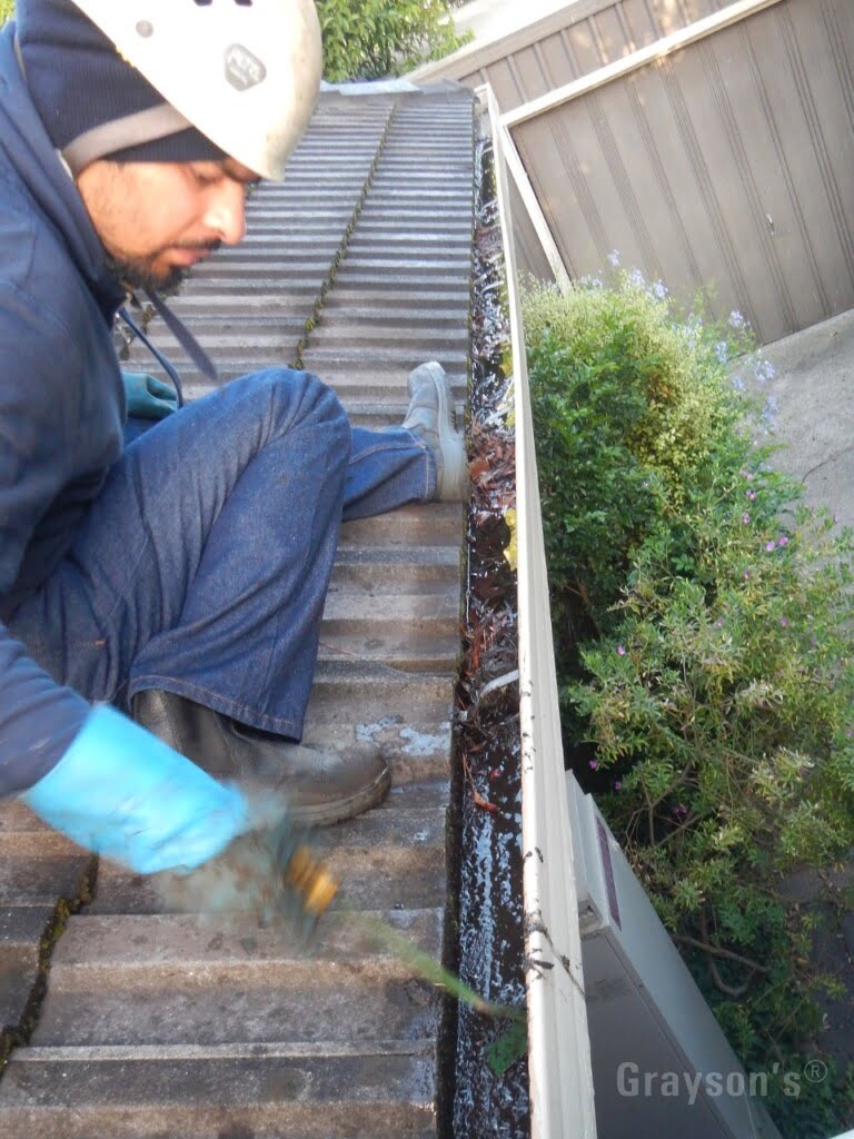 Grayson's professional gutter cleaners at work