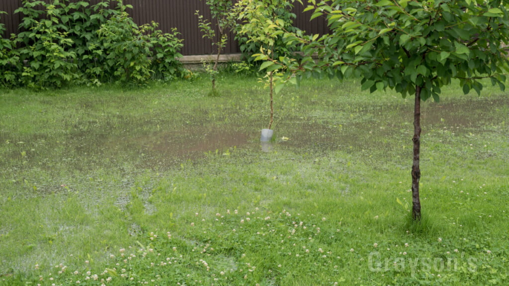 Pools of water in a backyard
