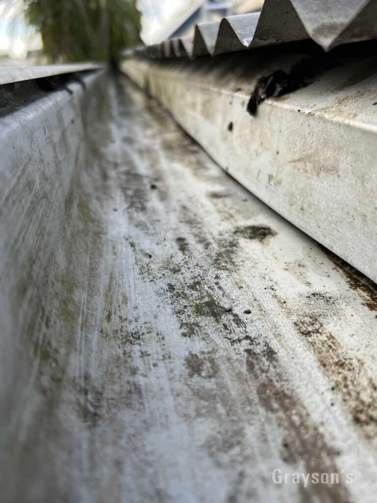 Is it Worth Getting Your Gutter Professionally Cleaned in Melbourne