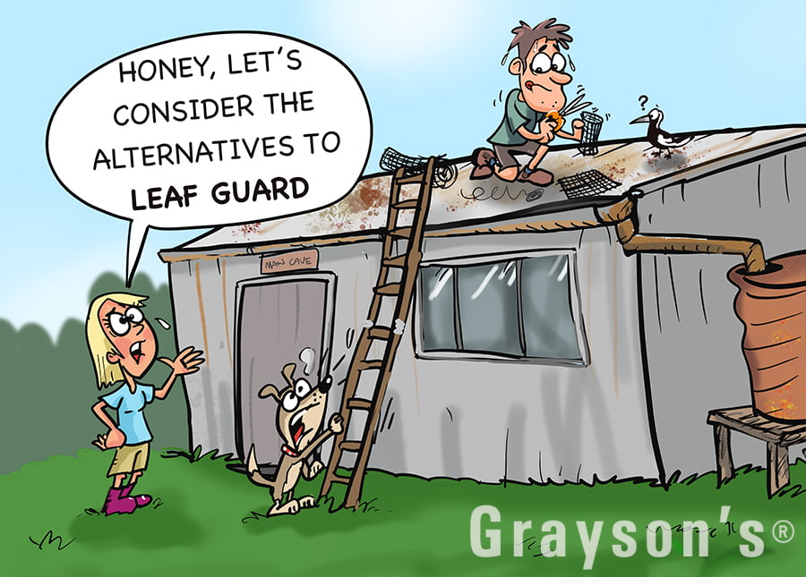 Consider the Alternatives to Leaf Guard and Gutter Protection