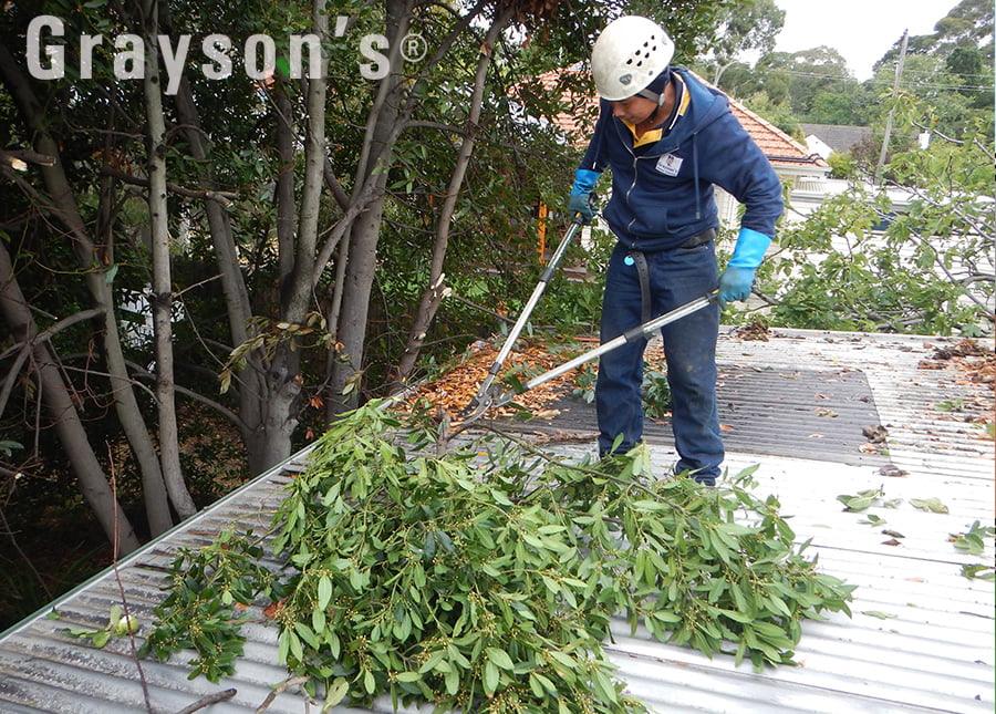 Cutting up branches that were obstructing the gutters